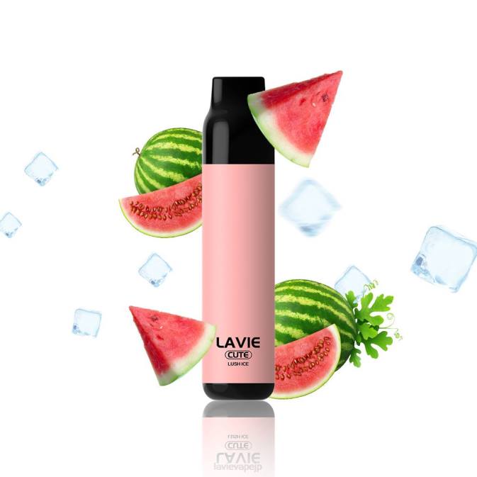 豊かな氷 LAVIE BAR 3000パフ 260P285 | Lavie Vape Japan